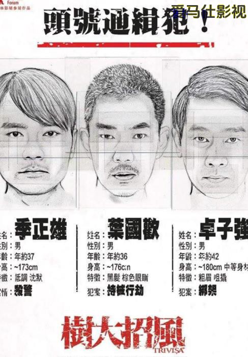 树大招风