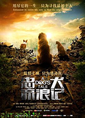 忠犬流浪记