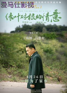绿叶对根的情意
