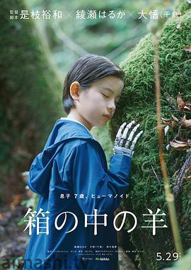 盒子里的羊