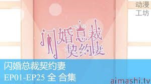 闪婚总裁契约妻