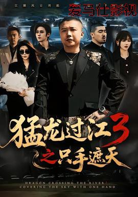 猛龙过江3之只手遮天