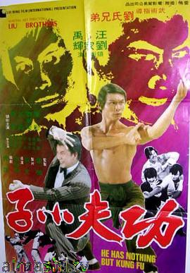 功夫小子